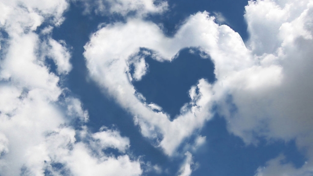 必赢：园林绿化绿篱样式