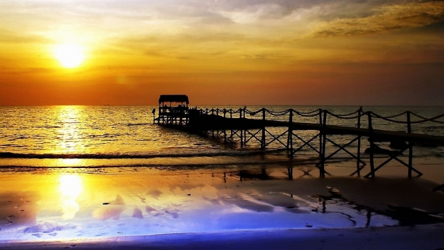 园林绿化树木防控