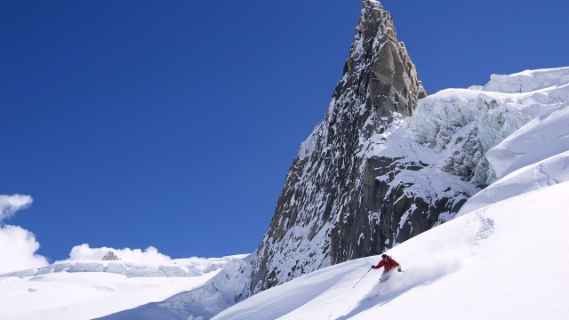 bwin必赢国际：园林绿化族