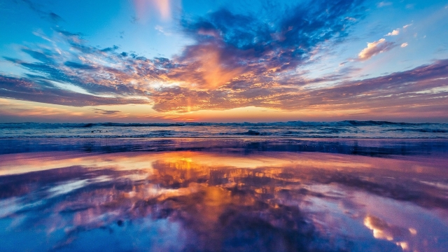 bwin必赢集团：园林绿化苗木种植效果