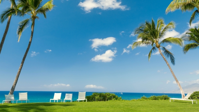 bwin必赢公司：园林绿化地被放线方法