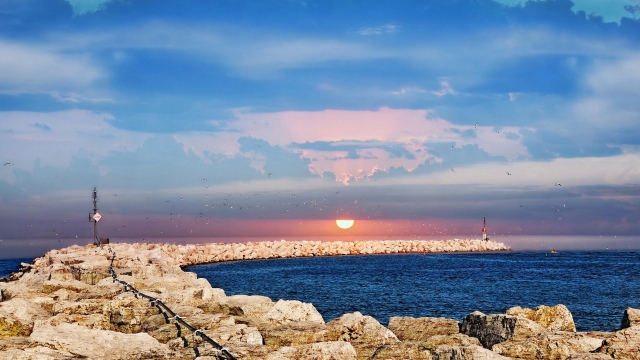 bwin必赢公司：园林绿化养护的主要措施