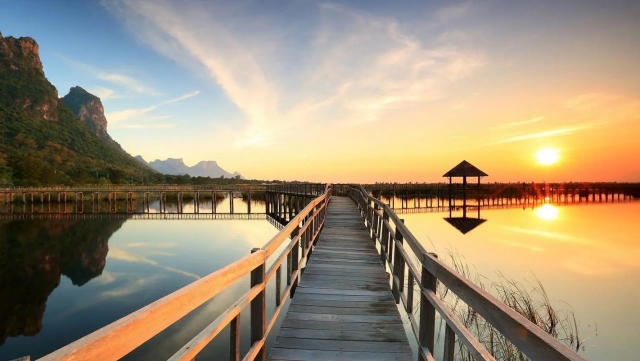 bwin必赢集团：园林绿化景观植物种类