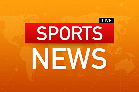 bwin必赢国际：园林绿化养护冬青