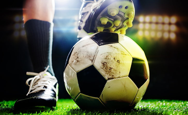 园林绿化地栽土层厚度